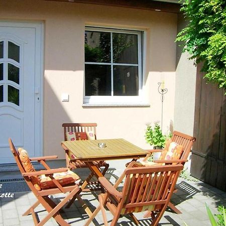 Ferienwohnungen _ Haus Lisa_ Senftenberg Zewnętrze zdjęcie