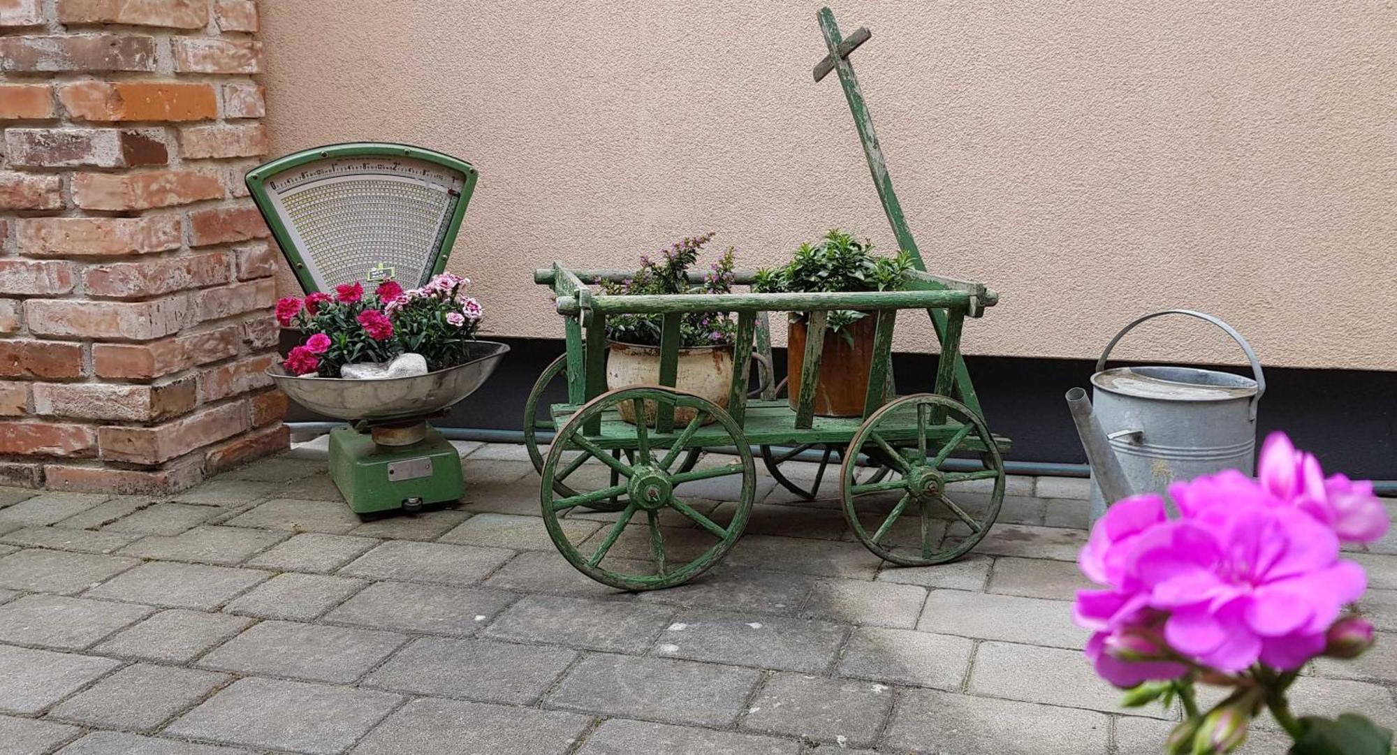 Ferienwohnungen _ Haus Lisa_ Senftenberg Zewnętrze zdjęcie